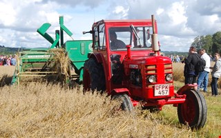 V�lmatad sk�rdedag utlovas 