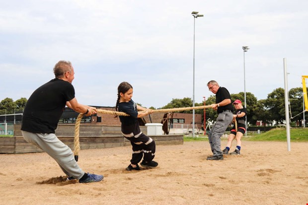 Pannben, teknik och r�styrka 
