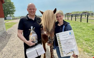 Islandshästprofilen Vignir Jonasson har gått bort