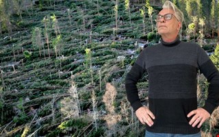 Gudrun � ur ett helt annat perspektiv