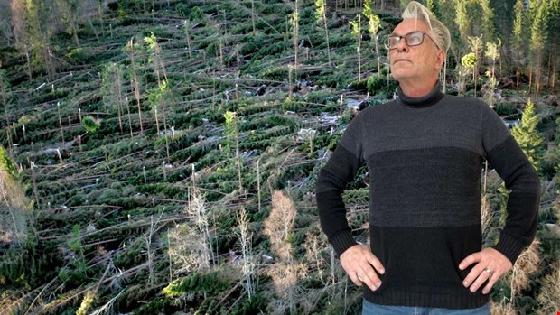 Gudrun � ur ett helt annat perspektiv