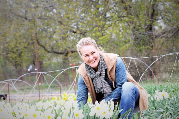 MiH Guld - en hyllning till det lokala näringslivet MiH Guld - en hyllning till det lokala näringslivet