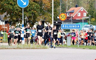 �sh�jdenloppet lockar till r�relsegl�dje