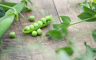 Ebba-�rtan v�nder hem