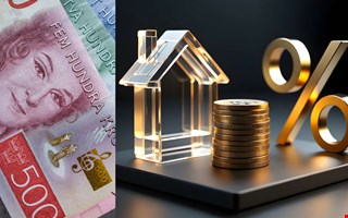 Bankerna snuvar hush�llen p� r�ntes�nkningarna