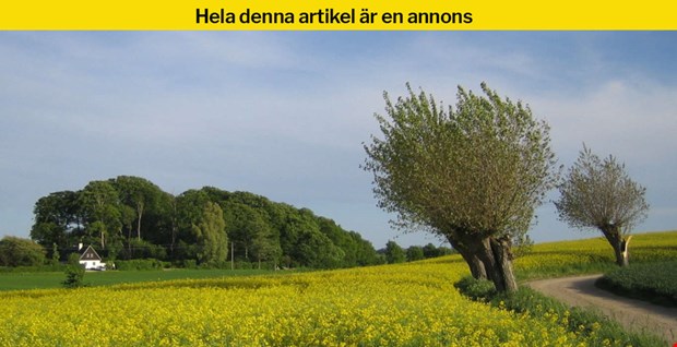 Fler v�ljer att flytta till s�dra Sverige � jobb, bost�der och livskvalitet lockar