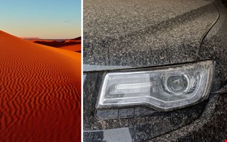 Blodregn på väg mot Skåne