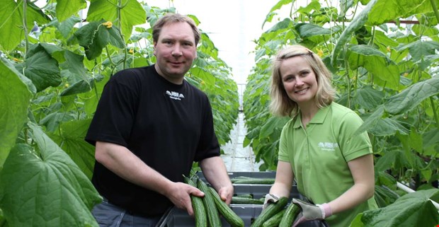 Giftrester i importerade sm�tomater