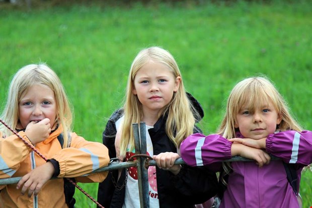 Barnsligt kul p� Bondens Dag
