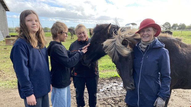 Här växer självförtroendet – fyra hovar i taget Här växer självförtroendet – fyra hovar i taget
