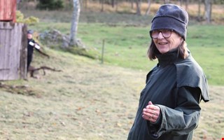 Magi och mysrys i m�rka skogen